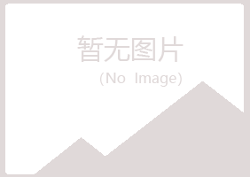 新会紫山化学有限公司